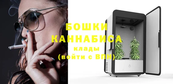 мдпв Ивангород