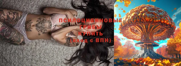 ECSTASY Покровск