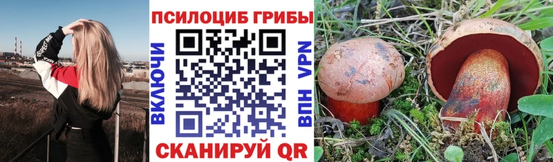 Псилоцибиновые грибы ЛСД  дарнет шоп  Орехово-Зуево 